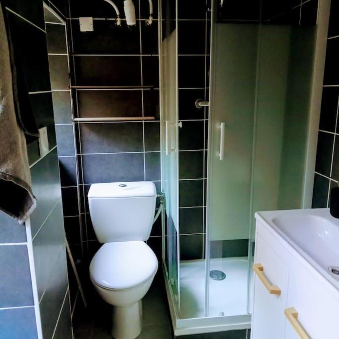 Le Cosy Chaleureux Appartement Saint-Etienne  Eksteriør bilde